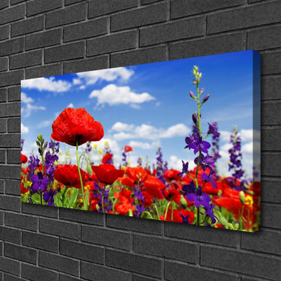 Tableaux sur toile Fleurs nature rouge bleu violet vert