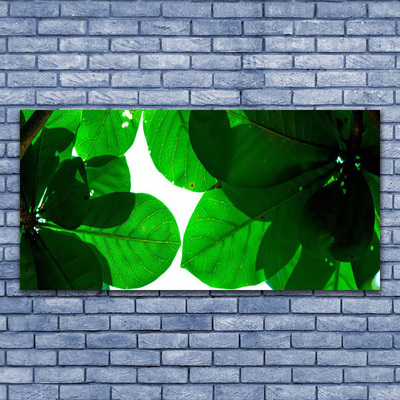Tableaux sur toile Feuilles floral vert