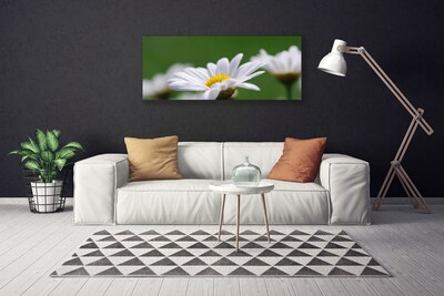 Tableaux sur toile Marguerite floral blanc jaune vert