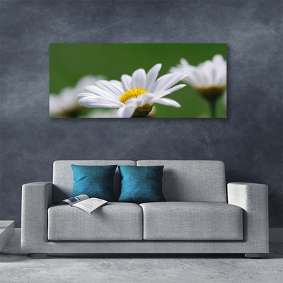 Tableaux sur toile Marguerite floral blanc jaune vert