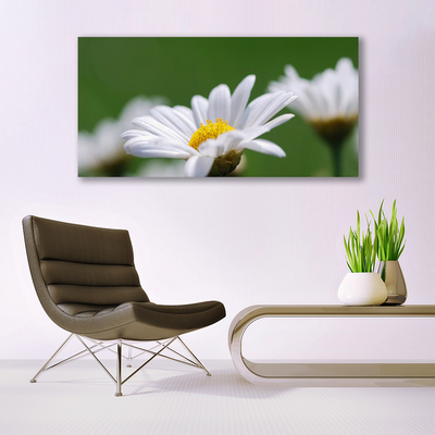 Tableaux sur toile Marguerite floral blanc jaune vert