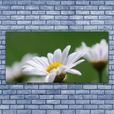 Tableaux sur toile Marguerite floral blanc jaune vert