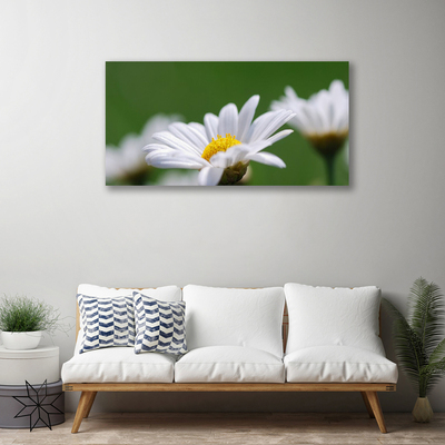 Tableaux sur toile Marguerite floral blanc jaune vert