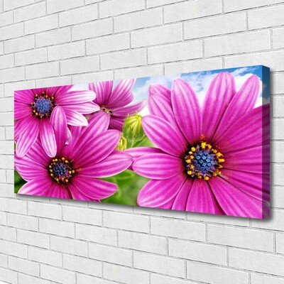 Tableaux sur toile Fleurs floral rose jaune bleu