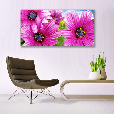 Tableaux sur toile Fleurs floral rose jaune bleu