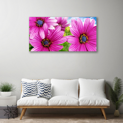 Tableaux sur toile Fleurs floral rose jaune bleu