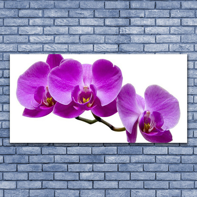 Tableaux sur toile Fleurs floral violet brun
