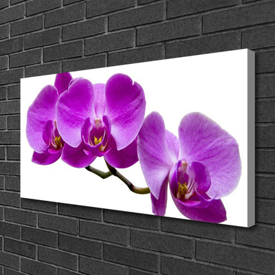 Tableaux sur toile Fleurs floral violet brun