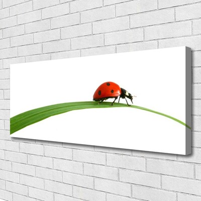 Tableaux sur toile Coccinelle floral noir rouge vert