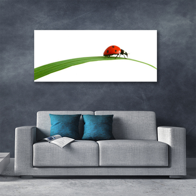 Tableaux sur toile Coccinelle floral noir rouge vert