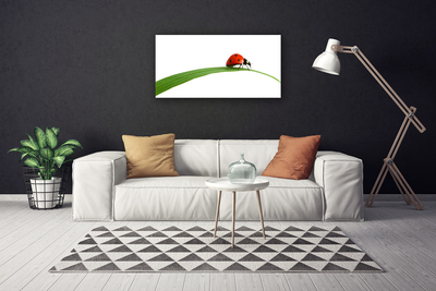 Tableaux sur toile Coccinelle floral noir rouge vert