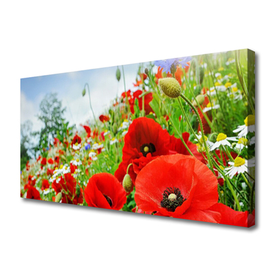 Tableaux sur toile Fleurs nature rouge vert