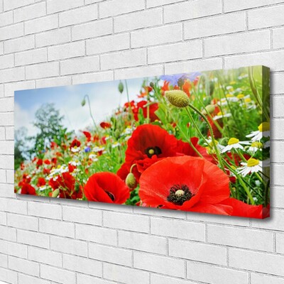 Tableaux sur toile Fleurs nature rouge vert