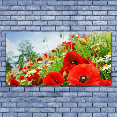 Tableaux sur toile Fleurs nature rouge vert