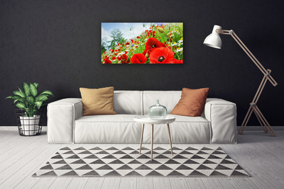 Tableaux sur toile Fleurs nature rouge vert