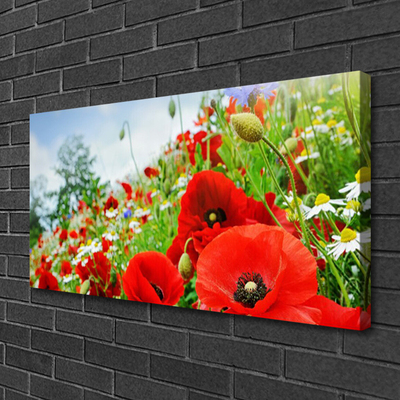 Tableaux sur toile Fleurs nature rouge vert