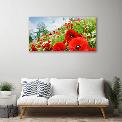 Tableaux sur toile Fleurs nature rouge vert