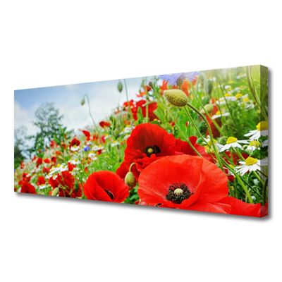 Tableaux sur toile Fleurs nature rouge vert