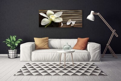 Tableaux sur toile Fleur floral blanc brun vert