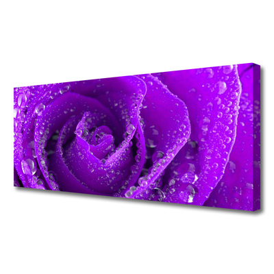 Tableaux sur toile Rose floral violet