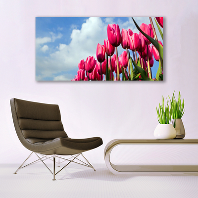 Tableaux sur toile Tulipe floral rose vert