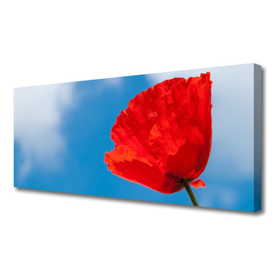 Tableaux sur toile Tulipe floral rouge bleu