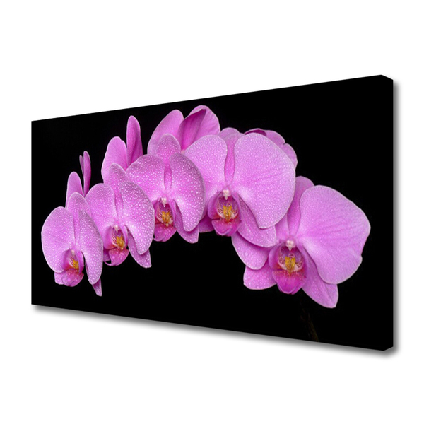 Tableaux sur toile Fleurs floral rose noir