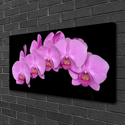 Tableaux sur toile Fleurs floral rose noir