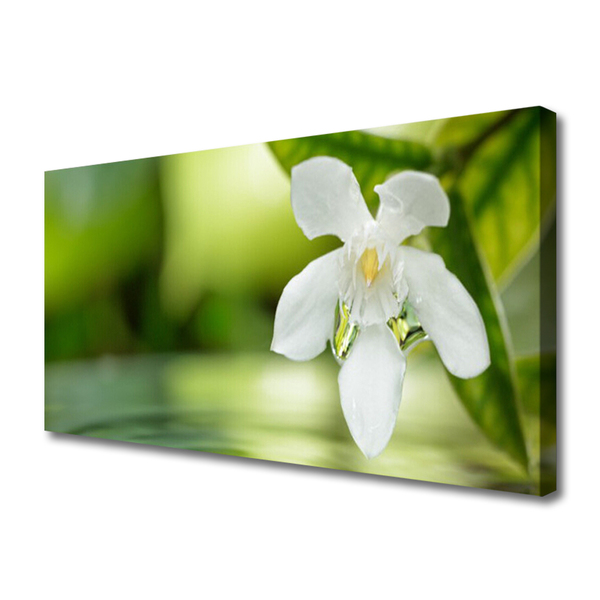 Tableaux sur toile Fleurs feuilles floral blanc vert