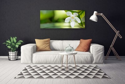 Tableaux sur toile Fleurs feuilles floral blanc vert