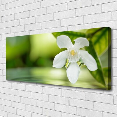 Tableaux sur toile Fleurs feuilles floral blanc vert