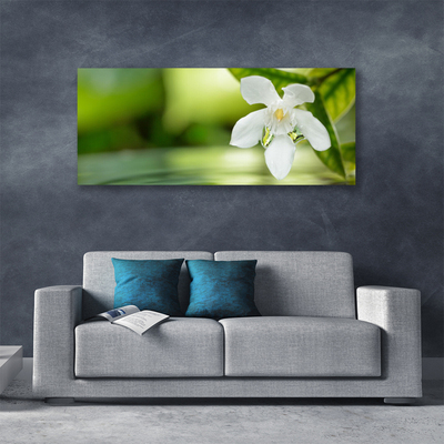 Tableaux sur toile Fleurs feuilles floral blanc vert