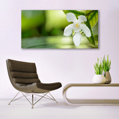 Tableaux sur toile Fleurs feuilles floral blanc vert