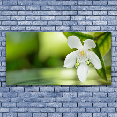 Tableaux sur toile Fleurs feuilles floral blanc vert