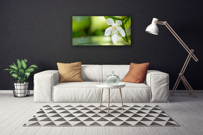 Tableaux sur toile Fleurs feuilles floral blanc vert