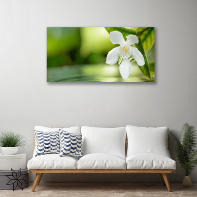 Tableaux sur toile Fleurs feuilles floral blanc vert