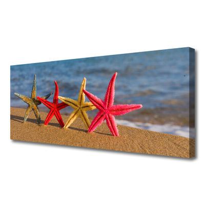Tableaux sur toile Plage étoile de mer art multicolore