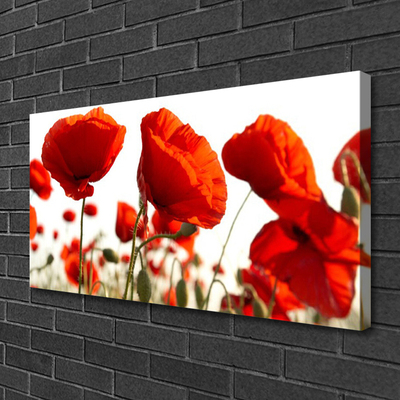 Tableaux sur toile Tulipes floral rouge blanc