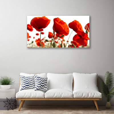 Tableaux sur toile Tulipes floral rouge blanc
