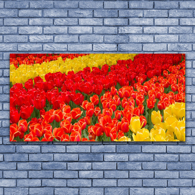 Tableaux sur toile Tulipes floral rouge jaune