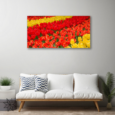 Tableaux sur toile Tulipes floral rouge jaune