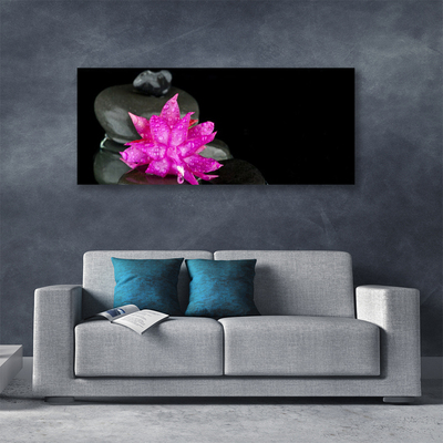 Tableaux sur toile Fleurs pierres floral rose gris