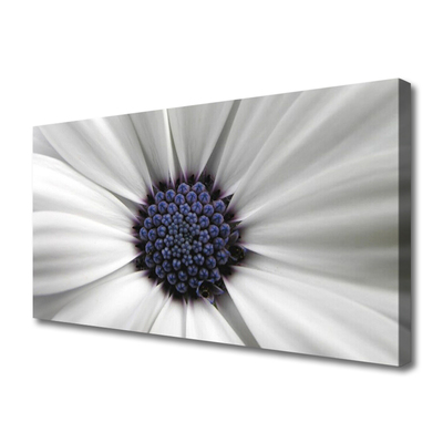 Tableaux sur toile Fleur floral blanc gris violet