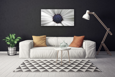 Tableaux sur toile Fleur floral blanc gris violet