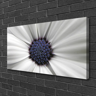 Tableaux sur toile Fleur floral blanc gris violet