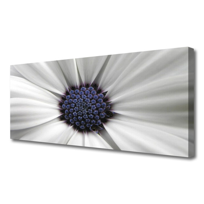 Tableaux sur toile Fleur floral blanc gris violet