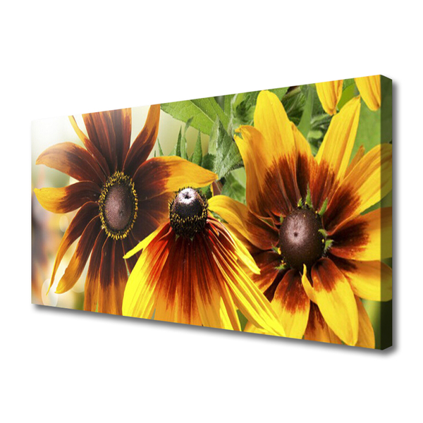 Tableaux sur toile Fleurs floral brun jaune