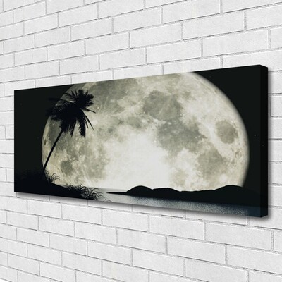 Tableaux sur toile Nuit lune palme paysage noir gris blanc