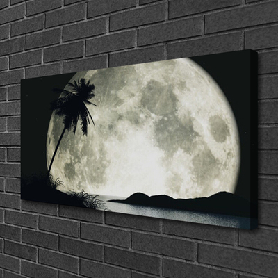 Tableaux sur toile Nuit lune palme paysage noir gris blanc