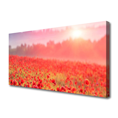 Tableaux sur toile Prairie fleurs nature rouge vert